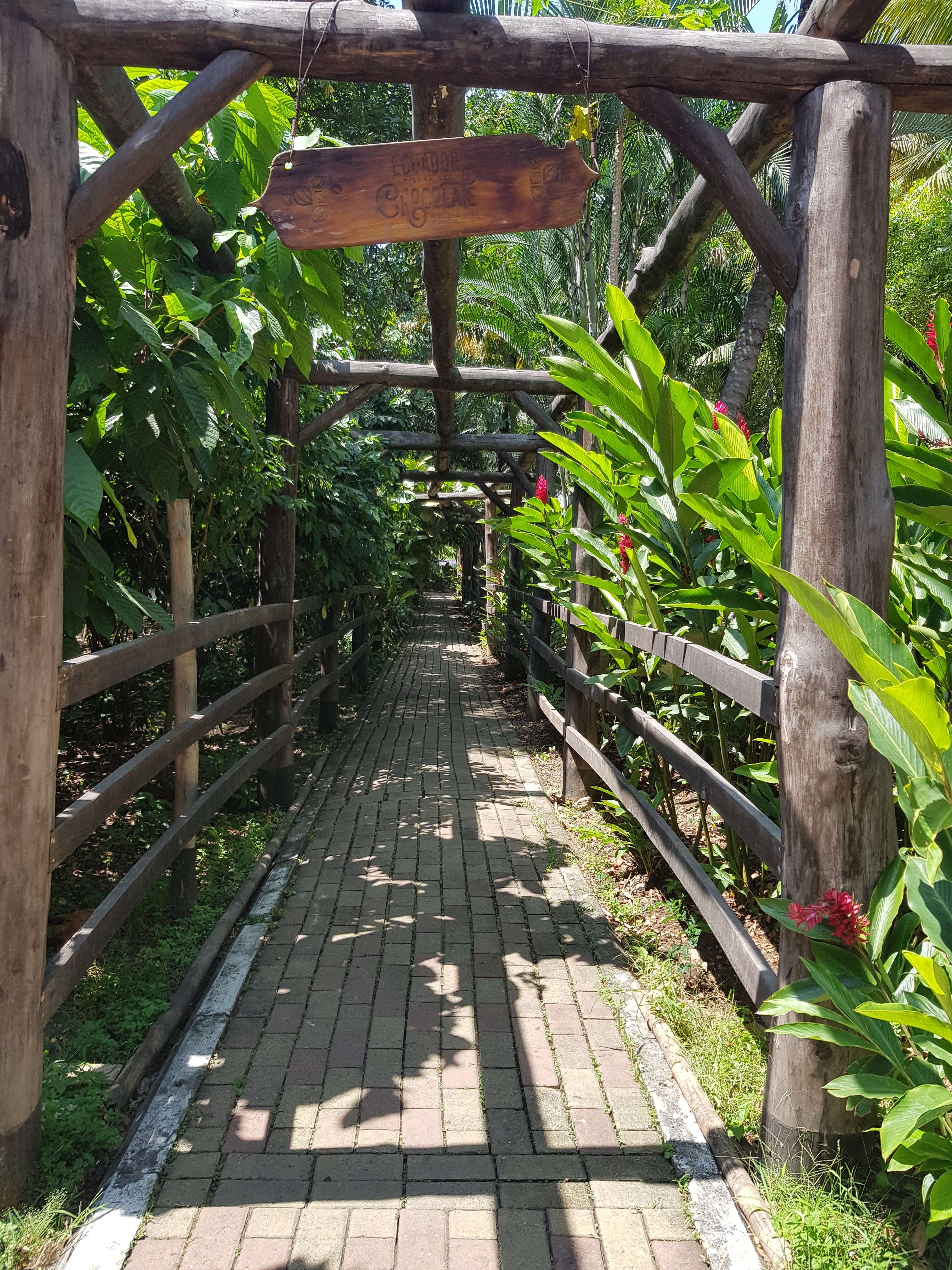 Guayaquil Historical Park 11